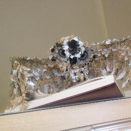 GiniaBookPusher's profile picture. Outdoorsy w/allergies, book pusher, married :D, bookworm.