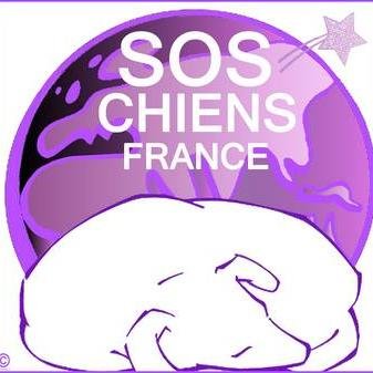 L'association SOS CHIENS FRANCE a pour but de n'en laisser aucun au bord du chemin, d'où qu'il vienne, quelque soit la race, l'âge, le handicap...