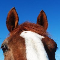 HEROS Charity (@heroscharity) 's Twitter Profile