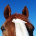 HEROS Charity (@heroscharity) Twitter profile photo HEROS Charity (@heroscharity) Twitter profile photo