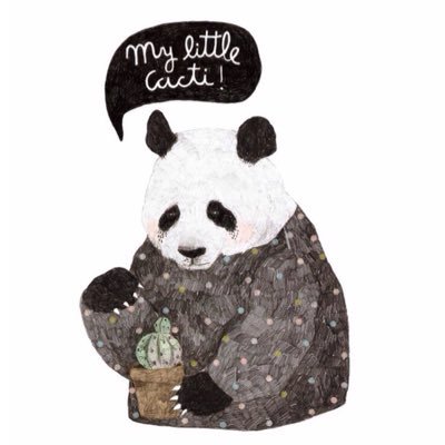 thessals's profile picture. quality, not quantity.