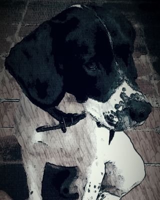 jucajica's profile picture. Graduado en Informática de Sistemas de Informacion. 
Profesor Informática de Sistemas.
Técnico de Gestion Integrada.
Rondeño de nacimiento y sentimiento.