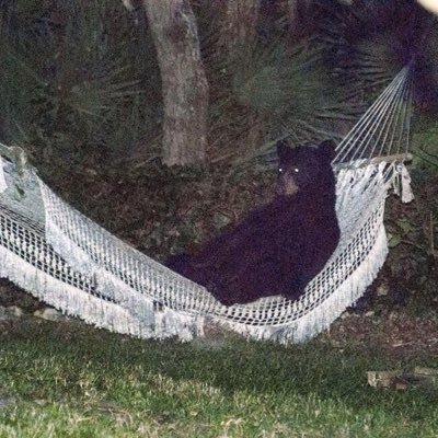 ThatHoiPolloi's profile picture. I'm down with Floridians around the corner, including the underserved, the inspired, and the over achievers. Up to something.