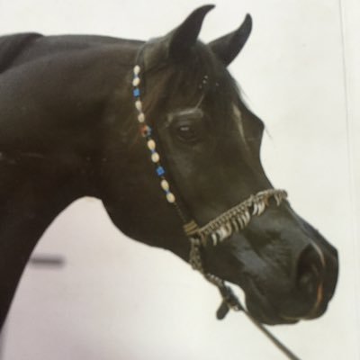 algbl222's profile picture. 