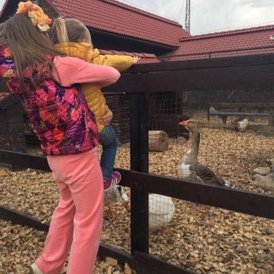 CslcUWM04y2RZMV's profile picture. Добро пожаловать на мою страничку!Тут правила просты!1)Подписаться2)Лайкать3)И не забывать!Удачи всем!