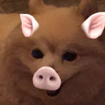 vamalzoni's profile picture. Riot❕