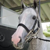 garboflash (@garboflash) 's Twitter Profile Photo