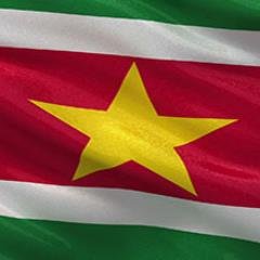 The Ministry of Foreign Affairs Suriname Conducts an active interaction with other countries and international organizations in support of national development.