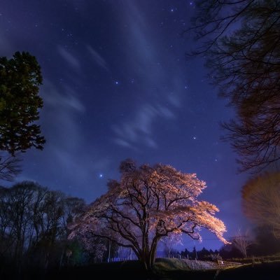 ichigoichie85's profile picture. 美しいものが好き、東方神起、宝塚、フィギュアスケート、大好きです。