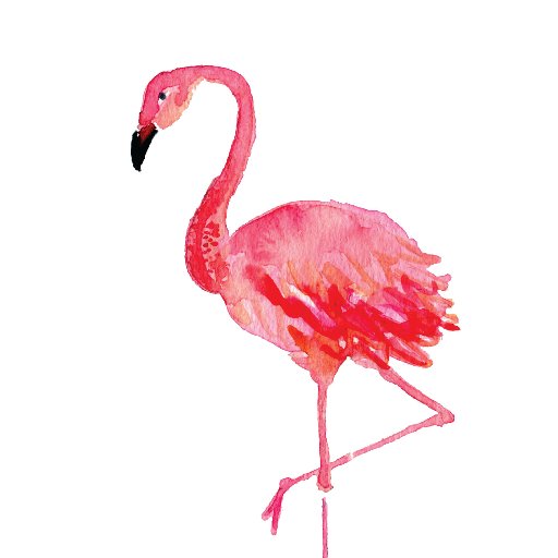 Flamingos. Amigos. Allies. And feminism for life! #WhatMakesAGoodAlly