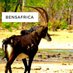 bensafrica (@bensafrica) Twitter profile photo