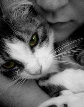 sb_douglas's profile picture. A social geek, interested in SEO, gaming, art, writing, etc. *opinions are my own and not those of my employer.