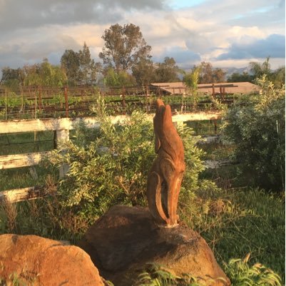 HighHillswinery's profile picture. Highland Hills Winery