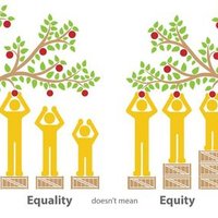 AVCStudent Equity (@avstudentequity) 's Twitter Profile