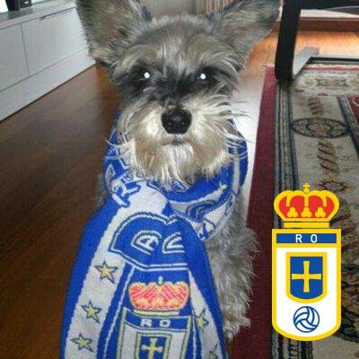 psidac10's profile picture. Socio y Accionista del Real Oviedo, Español y Carbayon💙 🇪🇦Papa de Erin👧.
Me encanta viajar