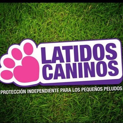 LatidosCaninos Profile Picture