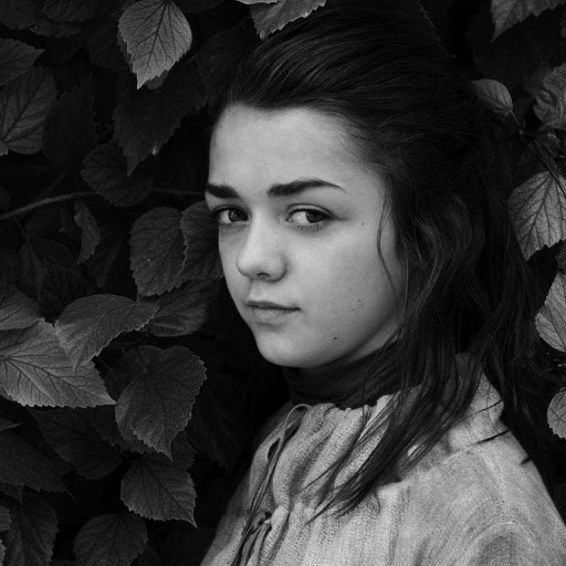 antwigone's profile picture. I live in Thebes. I have family problems.