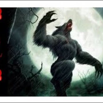 Loup solitaire fait régner la justice sur Twitter.