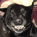 Paul Slack - @PaulSlack9 - Twitter