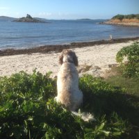 Tim Sexey (@timspatch) 's Twitter Profile