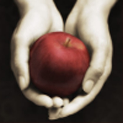 MonthWithSteph's profile picture. This Twitter page is linked to the blog My Month With Steph, the travelogue of my one-month journey into the world of Stephenie Meyer's Twilight