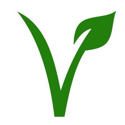 What vegans eat – daily! We will simply post a picture of what we eat - every day!