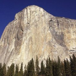 The largest organized volunteer cleanup of any National Park, hosted by the YCA.