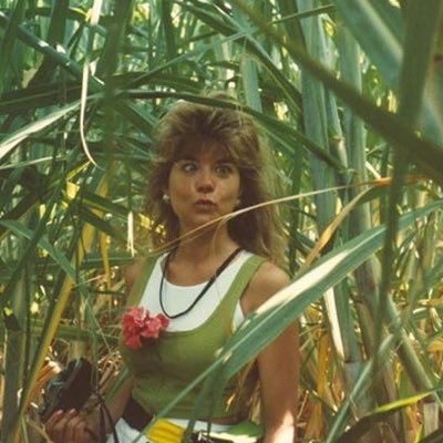 MauiLive14's profile picture. 