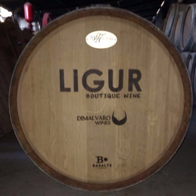 dimalvarowines's profile picture. Pequeño proyecto del Valle de Colchagua con viñedos de 1942. We are a boutique winery we produce wines from Colchagua, old vineyards planted in 1942.