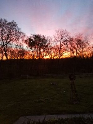 ColetteDiedrich's profile picture. 