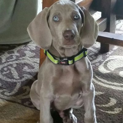 dsb6210's profile picture. 