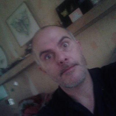 SebastiaanDijs's profile picture. 