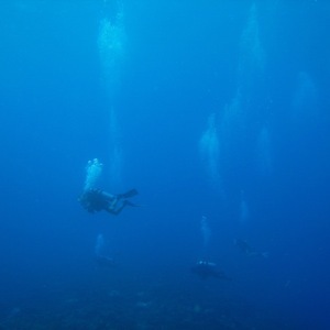 Ocean Conservation And Responsible Scuba