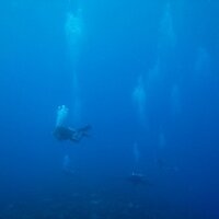 discover5oceans (@discover5oceans) 's Twitter Profile Photo