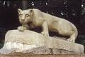 Penn State offers a full range of academic conferences, youth, credit & study abroad programs. We'll tweet what's coming up, so stay tuned!