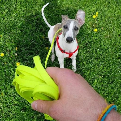 firek_'s profile picture. formally: Marketing enthusiast  informally: Searching for the child inside me ;)  Educate, Gained experience, Learn new stuff... do CrossFit.