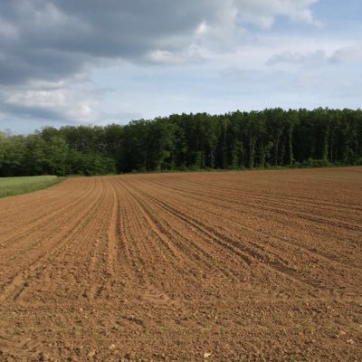 plein de choses différent