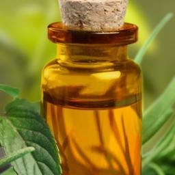 Our Essential Oil has been certified organic ECOCERT and USDA