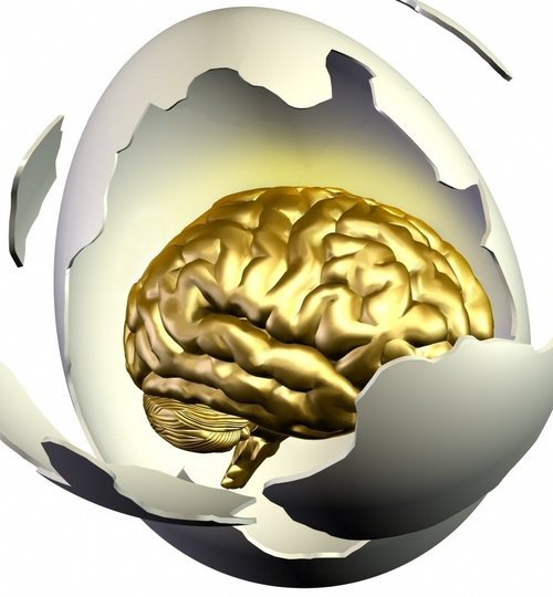 psychoneurology's profile picture. Psychology & Neurology in Health, Wellbeing, Happiness, Subjectivity, Decisions, Complexity & Information-Processing, Interactivity, Performance, Enterprise