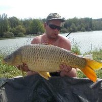 steven carpiste (@stevencarpiste) 's Twitter Profile