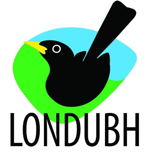 londubhbooks's profile picture. Londubh books is an Irish publisher of books and e-books. We publish adult non-fiction: history, memoir, Irish interest of all kinds.