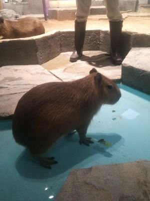 worldwideweb56's profile picture. フォロバ100%です。気軽にフォローして下さい！色んな人と色んな話ができたらいいなと思っております。スポーツ、映画、アニメなどどんな話でも大丈夫です。一緒に知り合いの輪を広げていきましょう。