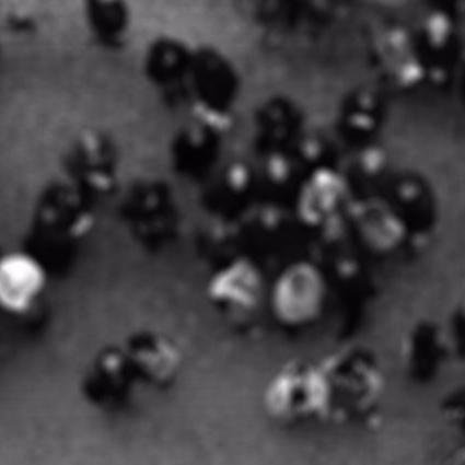 WhoseSmartCity's profile picture. AHRC network 2016-2018 investigating the smart city agenda and the role of ICTs in marginalised communities in Brazil, India and the UK