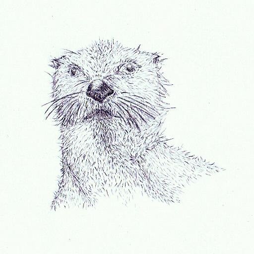 mari_onthewaves's profile picture. 