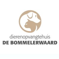 Dierenopvangtehuis De Bommelerwaard(@asielbruchem) 's Twitter Profile Photo