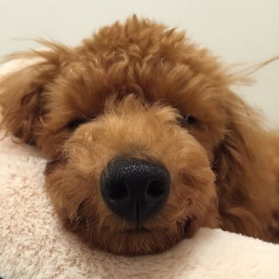 うろさんのプロフィール画像