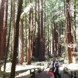 nysforestqueen's profile picture. Mommy, Wife, Natural Resources Program Coordinator @WestchesterPark. Advocate for ecological restoration and sustainable landscapes.