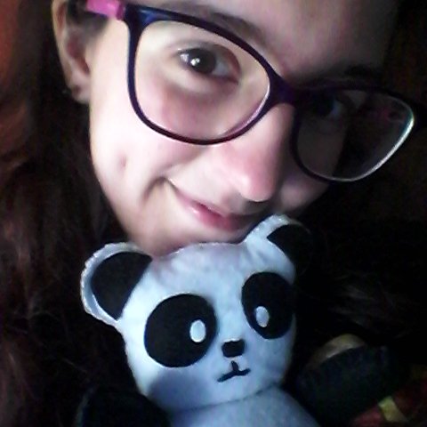 Panda lover