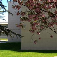 Dargan Centre (@dargancentre) 's Twitter Profile