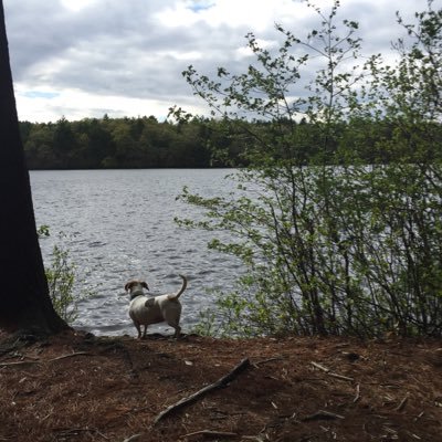 arioseph's profile picture. 